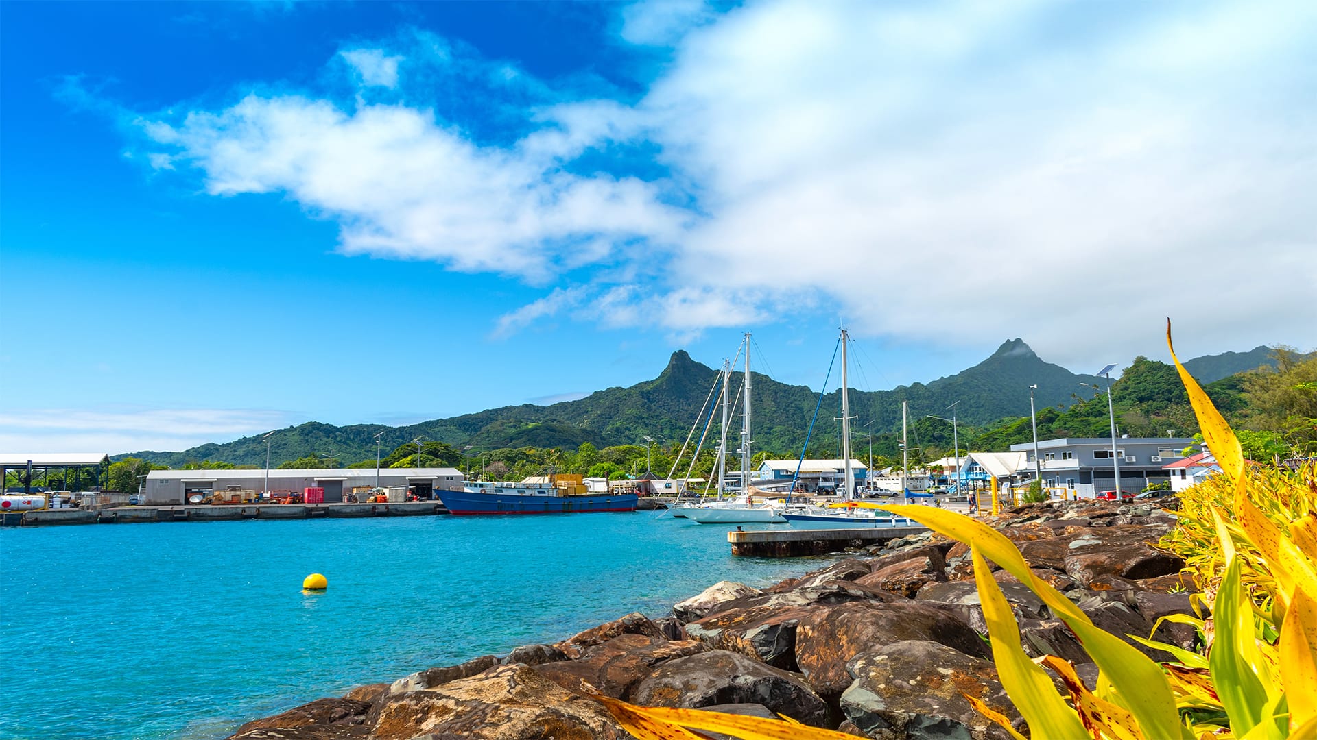 Découverte d'une île 